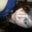 Jackie Lennier's profile image