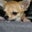 Paco Mommy's profile image