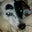 Jessica Williams's profile image