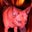 Jill Carter's profile image