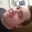 Ryan Euler's profile image