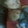 Matthew Garretson's profile image