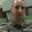 Troy Miles's profile image