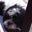 Pauline Sanchez's profile image