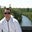 don wilkie's profile image