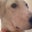 Cheryl Craig's profile image