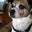 Ian Castillo's profile image