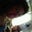 Suzanne's profile image