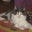 Care K's profile image