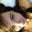 Kimberly Robertson's profile image