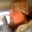 Stew Ussery's profile image