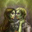 Mel Carver's profile image