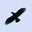 Ron Dupree's profile image