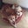 Sherry H's profile image