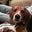 Tami Heutmaker's profile image