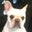 Sean Iaquinto's profile image
