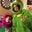 Max B.'s profile image