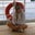 Carolina Gonzalez's profile image