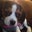 Jess N's profile image