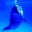 dolphin blue