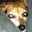 Teri Vanlandingham's profile image