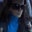 Terri Francy's profile image