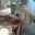 pamela thomasson's profile image