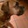 Harry Lindstrom's profile image