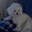 Beth Barlett's profile image