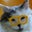 Annette I's profile image