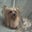 Norma Jean's profile image