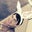 Charles Candus's profile image