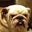 Jamye Coffman's profile image