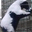 Michael Melcher's profile image