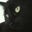 Tami Waite's profile image