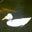 MamaMary's profile image
