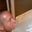 Phil DeCook's profile image