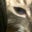 Jeff Schulze's profile image