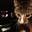 Tracie Baldwin's profile image