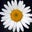 RaMina Mirmortazavi's profile image