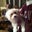 Bruce Cohoon's profile image