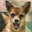 Lorena Taunton's profile image