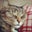 Krzy K's profile image