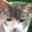 Cheryl Baker's profile image