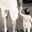 Shaun Bussey's profile image