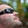 Brandon Greenwood's profile image