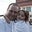 John Craig's profile image