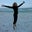 Jennifer Sanford's profile image