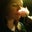 Rebekkah Martin's profile image