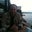 Husnu Serteser's profile image